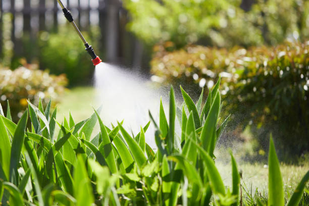 24/7 Emergency Mosquito Control experts in Scottsville, KY